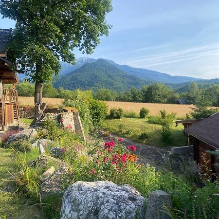 Cabana Vanatorului 8 Sohodol (Brasov) Exterior foto