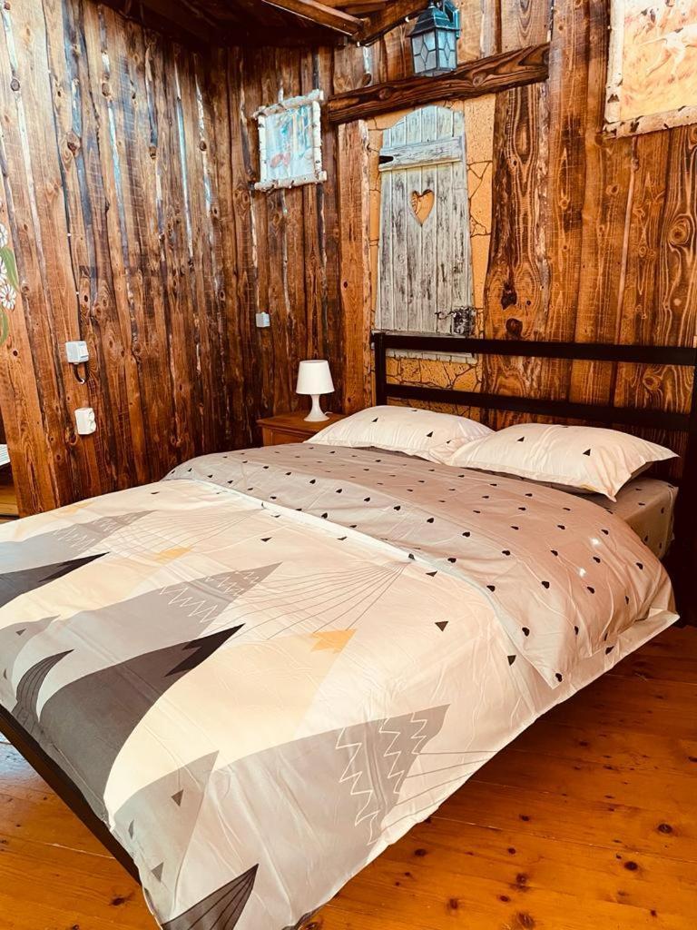 Cabana Vanatorului 8 Sohodol (Brasov) Exterior foto
