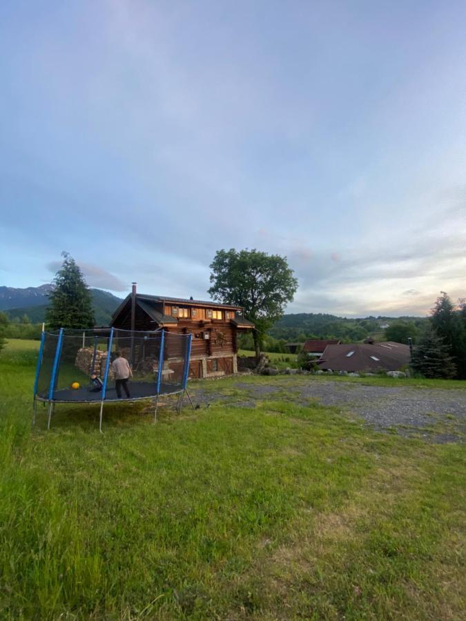 Cabana Vanatorului 8 Sohodol (Brasov) Exterior foto