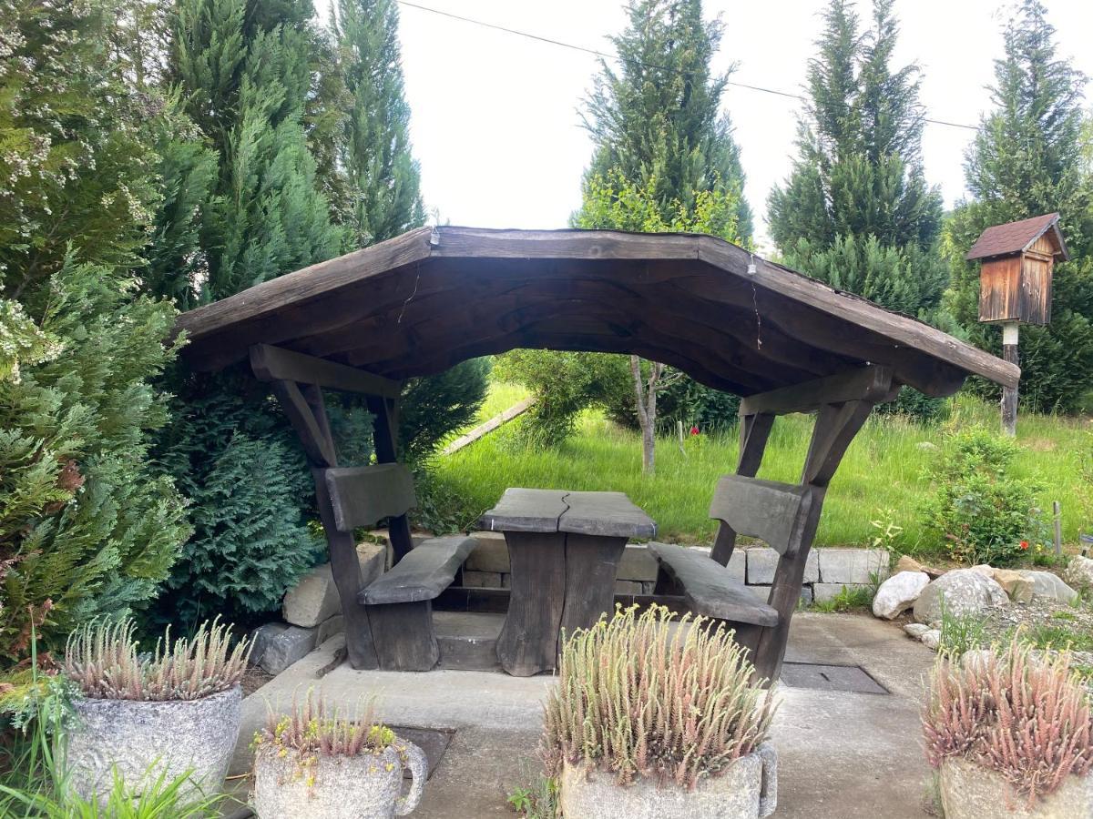 Cabana Vanatorului 8 Sohodol (Brasov) Exterior foto