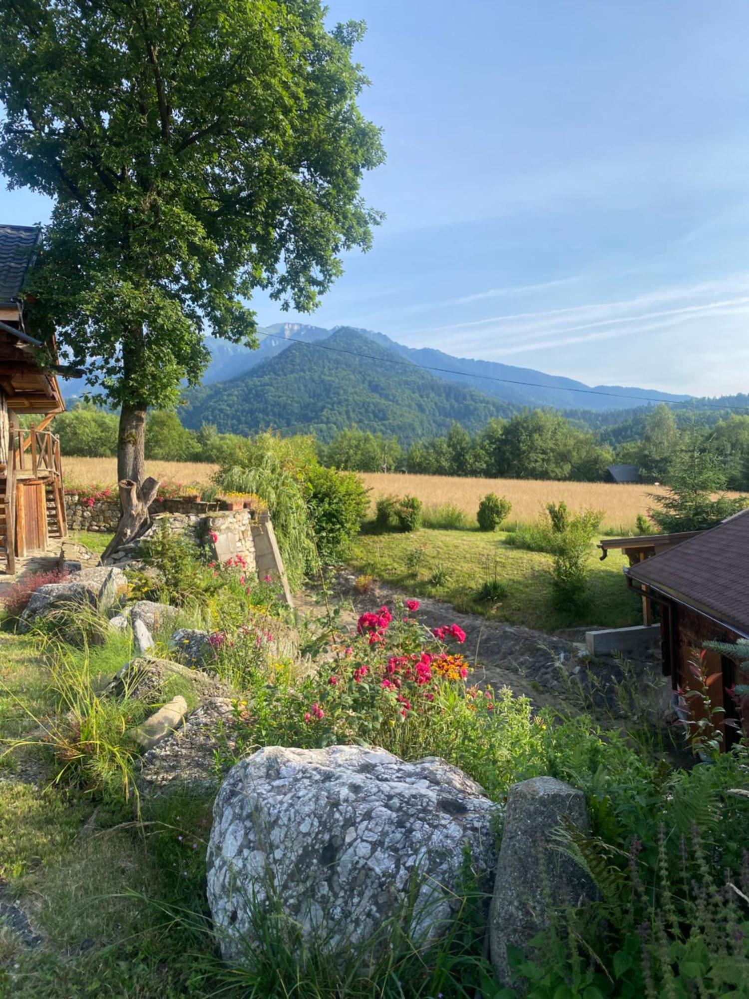 Cabana Vanatorului 8 Sohodol (Brasov) Exterior foto